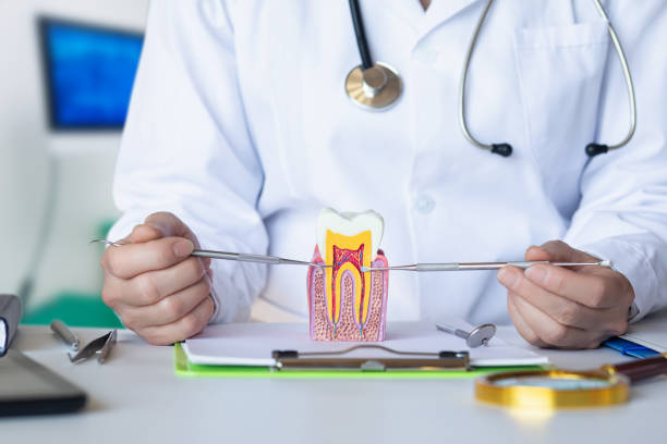 Best Emergency Dental Care for Broken or Chipped Teeth in Brock Hall, MD